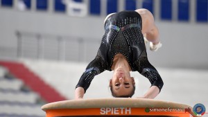 gaf v sfa 1332 copia foto simone ferraro